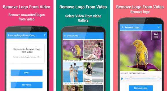 Remove Logo from Video