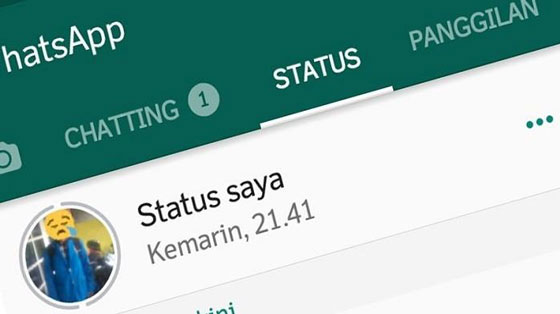 Cara Melihat Status WhatsApp yang Sudah Dihapus