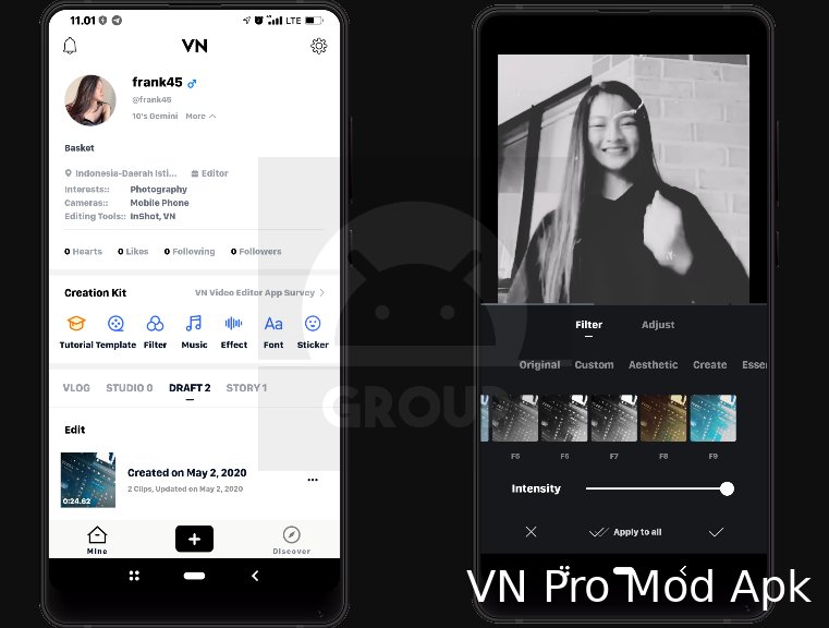 VN Pro Mod Apk